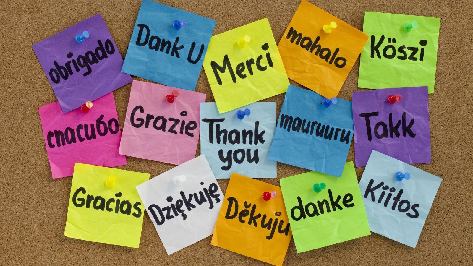 Sticky notes pinned to a cork board, each with thank you written in a different language