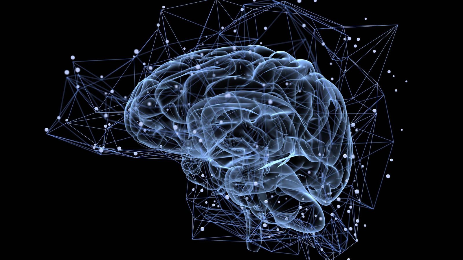 A translucent rendering of a human brain wrapped in a lattice of fine lines and nodes, on black